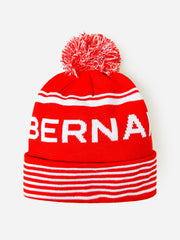 Saint Bernard Winter Beanie