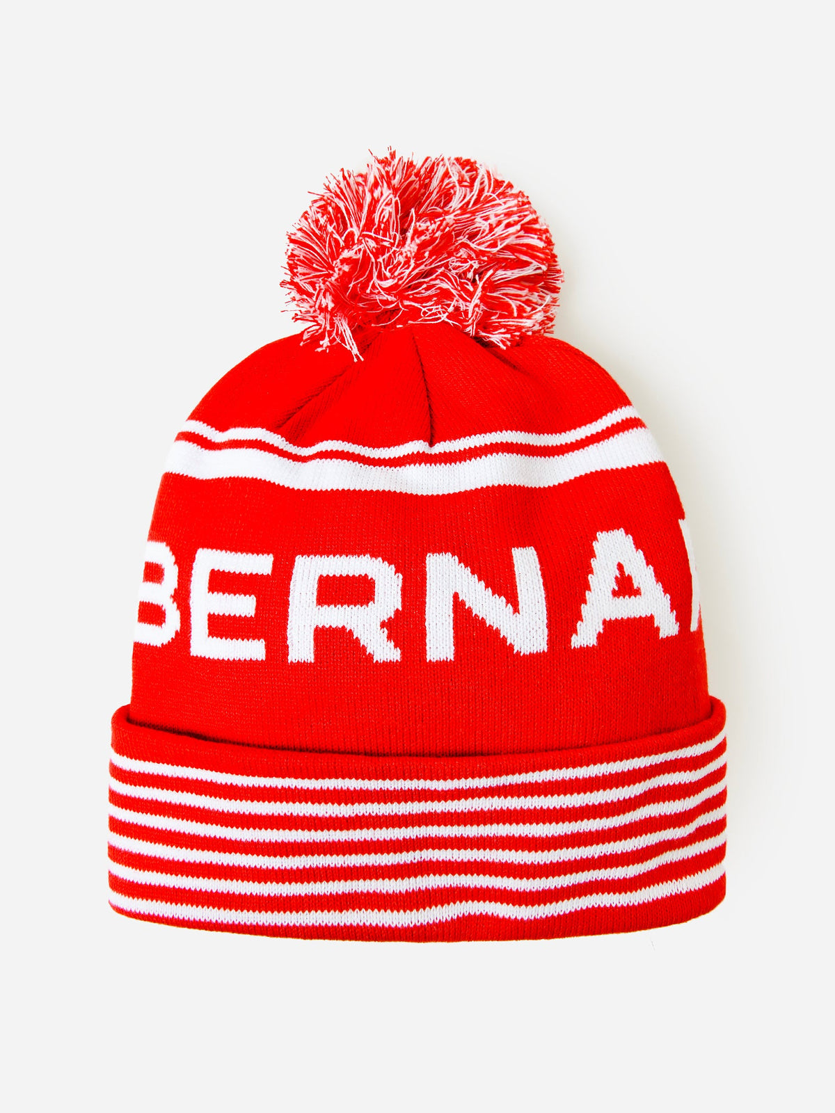 Saint Bernard Winter Beanie