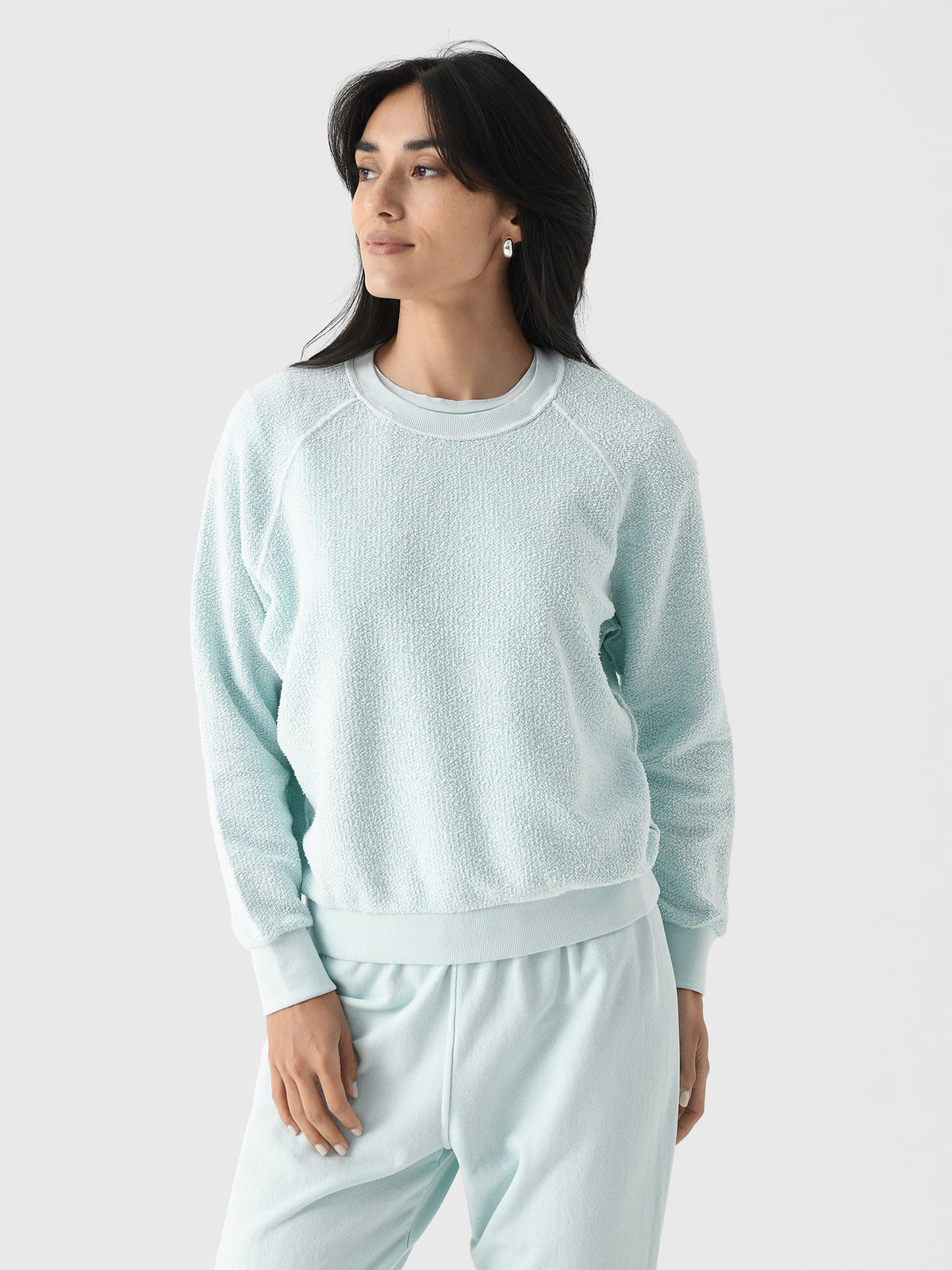 Perfect White Tee Women's Ziggy Reverse Shrunken Sweatshirt